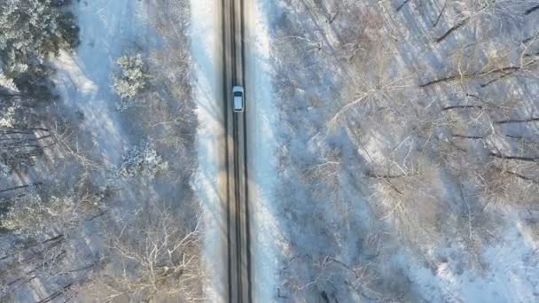 雪を介して白い車に乗るの空中ショット氷の道をカバーした。冬の日に森の中の空の田舎道でSUV運転。自動風光明媚な風景の道を移動上を飛ぶ。トップ表示 — ストック動画