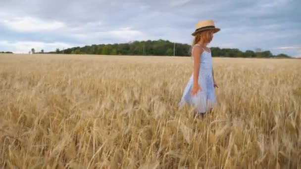 Närbild av vacker liten flicka med långt blont hår går genom vetefält. Söta barn i halmhatt vidrör gyllene öron av gröda. Liten unge i klänning går över ängen av barley.Dolly sköt — Stockvideo