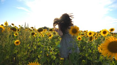 Sarı ayçiçeği tarlasında koşan tanınmamış esmer. Genç bir kadın yaz güneşli bir günde çayırda koşarken eğleniyor. Mutluluk ve özgürlük kavramı. Yavaş çekim Arka plan.