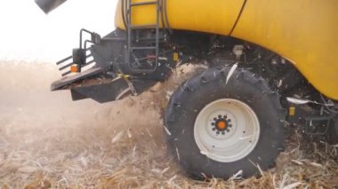 Mısır tarlasında ya da çiftlikte çalışan kombine dönen büyük tekerleği kapatın. Hasatçı mısır topluyor ve arkasında atık bırakıyor. Agronomi konsepti. Yavaş çekim kenar görünümü