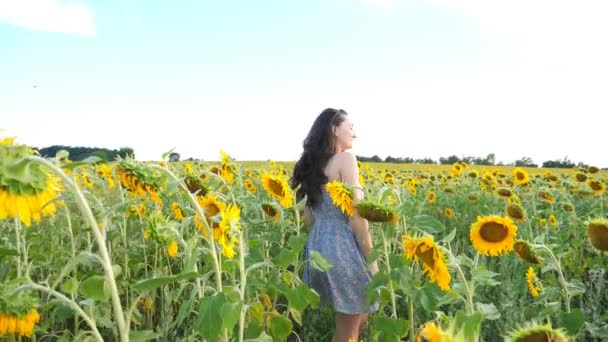Красива безтурботна жінка, що йде серед високих квітучих соняшників, демонструє радісні емоції. Молода щаслива дівчина, що проходить через поле, насолоджується свободою чи природою. Мальовничий літній пейзаж на фоні — стокове відео