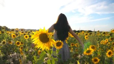 Ayçiçeği tarlasında dikilen ve elini kaldıran ilham verici kız. Özgürlüğün tadını çıkaran kadın ya da güzel doğa. Arka planda parlak güneş ışığı olan manzaralı bir yer. Açık hava eğlence konsepti. Dolly vurdu.