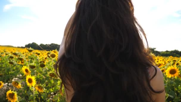 Mulher atraente brincando com o cabelo de pé entre o campo com girassóis florescendo. Mulher despreocupada desfrutando de liberdade ou bela natureza de verão. Senhora ter lazer ao ar livre no dia ensolarado. Visão traseira — Vídeo de Stock