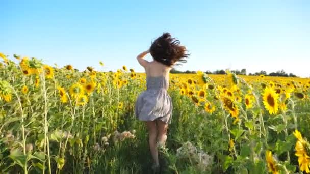 Close-up van mooi meisje rennend door het veld met bloeiende zonnebloemen. Jonge vrouw in jurk heeft plezier joggen door weide. Scenic zomerlandschap. Geluk of vrijheid concept. Achteraanzicht — Stockvideo