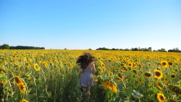 Mulher despreocupada correndo através do campo com girassóis florescendo. Menina se divertindo correndo pelo prado e curtindo o verão. Paisagem rural cênica no fundo. Conceito de felicidade e liberdade — Vídeo de Stock