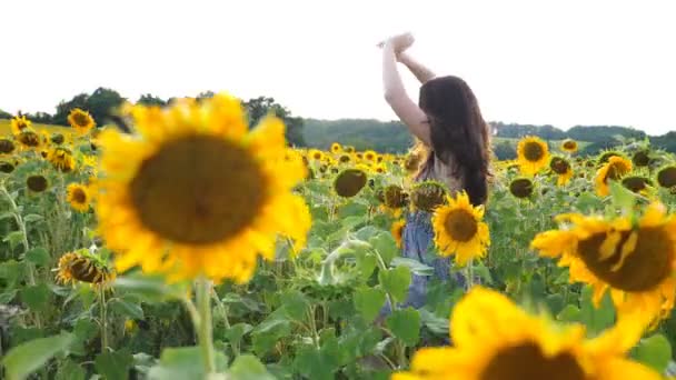 手を上げてひまわり畑を駆け抜ける気の利いた女の子。牧草地をジョギングしたり、自由を楽しんでいる若い女性。背景に夏の風景。幸福と自由の概念 — ストック動画