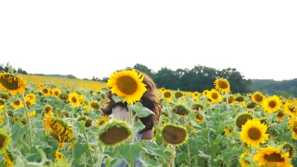 Glückliches unbeschwertes Mädchen, das durch das Sonnenblumenfeld läuft. Junge Frau hat Spaß beim Joggen durch Wiese und genießt Freiheit. Szenische Sommerlandschaft im Hintergrund. Konzept von Glück und Freiheit — Stockvideo