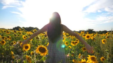 Çiçek açan ve el kaldıran bir kızla sahada dikilen ilham verici bir kız. Özgürlüğün tadını çıkaran kadın mı yoksa güneşli yaz günü mü? Arka planda manzara güneşli. Açık hava eğlence konsepti. Dolly vurdu.