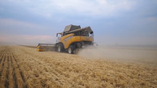 KHARKIV, UCRANIA - 2 de agosto de 2019: Cosechadora de granos que trabaja en la cosecha de trigo maduro. Combinar montar a través de rural dejando rastro de polvo detrás. Hermosa vista del paisaje natural — Vídeo de stock