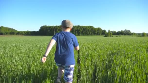 Seguir a niño feliz está corriendo por el campo con trigo verde en un día soleado y caluroso. Niño despreocupado en sombrero corriendo en el prado en verano y divertirse. Concepto de infancia y descanso. Movimiento lento — Vídeo de stock