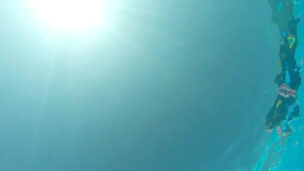 Vista desde el fondo de la piscina a la mujer sexy nadando bajo el agua con destello de sol en el fondo. Chica con bikini rojo flotando en el lavabo. Turista disfrutando descansando en el resort. Concepto de vacaciones — Vídeo de stock