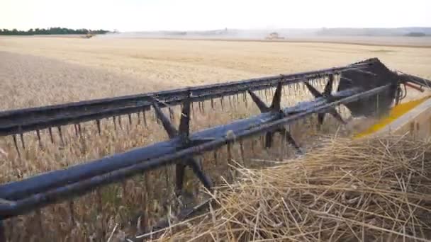 Close up Messer von Mähdrescher Spinnen und Schneiden von Ähren. Getreideernte auf dem Feld. Blick auf den Prozess der Gerstenernte. Konzept der Ernte. Schöne Landschaft. Zeitlupe — Stockvideo