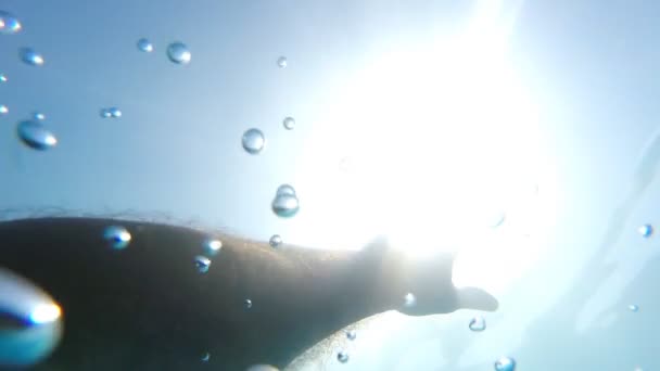 Mão masculina que se estende de debaixo de água para raios solares brilhantes. Braço pedindo ajuda e tentando alcançar o sol. Ponto de vista do homem se afogando no mar ou no oceano e flutuando à superfície. POV em câmara lenta — Vídeo de Stock