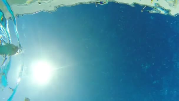 Vista da parte inferior da piscina para a menina sexy nadando na superfície com erupção solar no fundo. Mulher a flutuar na bacia. A senhora gosta de descansar no resort. Conceito de férias de verão ou férias. Movimento lento — Vídeo de Stock