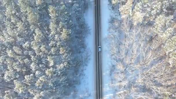 Fehér autó halad át havas vidéki úton. Követve SUV vezetés gyönyörű vidéki útvonalon a téli napon. Téli nyaralás utazás a természetben. Fogalom a családi utazásról. Légi felvétel Top View — Stock videók