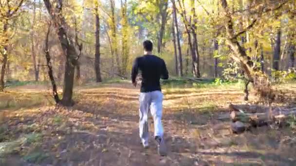 Nepoznatelný muž běžící po lesní cestě. Mužský sportovec cvičí v přírodě. Silný a vytrvalý sportovec dělá kardio trénink venku. Koncept zdravého aktivního životního stylu. Zadní pohled — Stock video