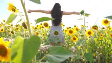 Çiçek açan ve elini kaldıran ince, güzel bir kızın arka görüntüsü. Güneşli bir günde rahatlayan ya da özgürlüğün tadını çıkaran bir kadın. Arka planda güneş ışığı olan kırsal manzara