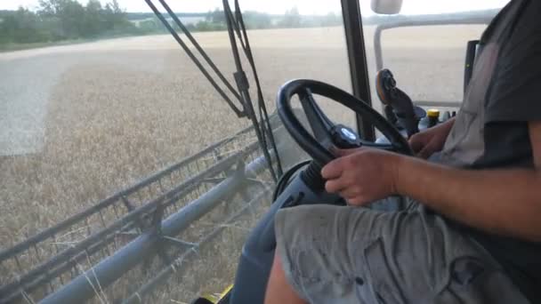 Großaufnahme des männlichen Hand haltenden Lenkrads und der Steuerung des Mähdreschers während der Ernte. Ein unkenntlich gemachter Bauer arbeitet auf einem Feld an einem Mähdrescher. Blick auf den Prozess der Weizenernte aus dem Inneren der Kabine. Langsames Wachstum — Stockvideo