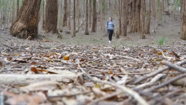 O tânără turistă cu rucsac alergând în pădure. Femeie backpacker jogging prin lemn în timpul vacanței de vară de călătorie. Fata se plimbă singură în natură. Conceptul de stil de viață activ sănătos — Videoclip de stoc