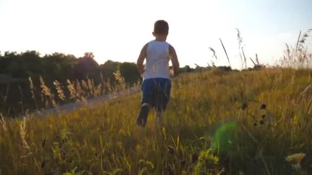 Siguiendo a un joven irreconocible corriendo sobre hierba verde en el campo en un día soleado. Niño corriendo en el césped al aire libre. Niño varón feliz divirtiéndose en la naturaleza en un prado de verano. Vista trasera en cámara lenta — Vídeos de Stock