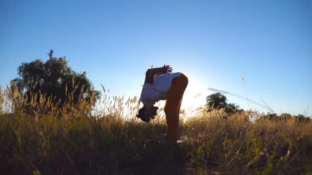 Профиль спортсмена, делающего упражнения на поле в солнечный день. Молодой человек, стоящий в позе йоги на коврике на лугу. Солнечный свет на заднем плане Здоровый активный образ жизни. Вид под низким углом — стоковое видео