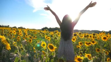 Elleri havada, ayçiçekleri arasında neşeli duygular gösteren genç ve ilham verici bir kız. Mutlu kadın, arka planda parlak güneş ışığıyla özgürlüğün tadını çıkarıyor. Açık hava eğlence konsepti. Dolly vurdu.