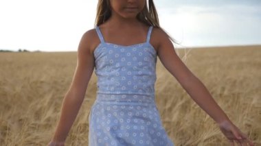 Buğday tarlasında yürüyen ve dikenleri okşayan küçük mutlu kız. Uzun sarı saçlı tatlı çocuk, altın ekin kulaklarına dokunuyor. Arpa otlağının üzerinden geçen küçük, güzel bir çocuk.