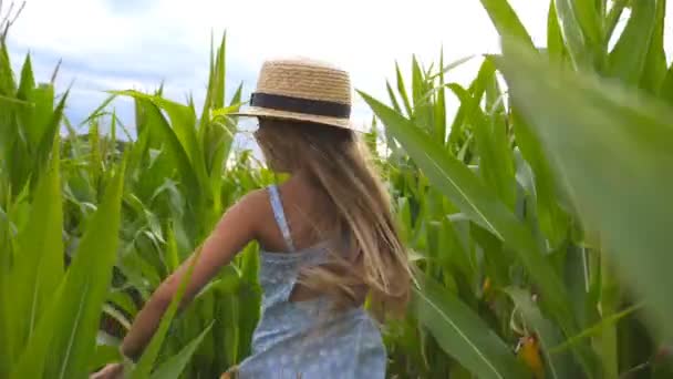 Hermosa niña en sombrero de paja corriendo a través del campo de maíz, girando a la cámara y sonriendo. Feliz niño pequeño con el pelo largo y rubio divirtiéndose mientras trota sobre la plantación de maíz. Movimiento lento — Vídeo de stock