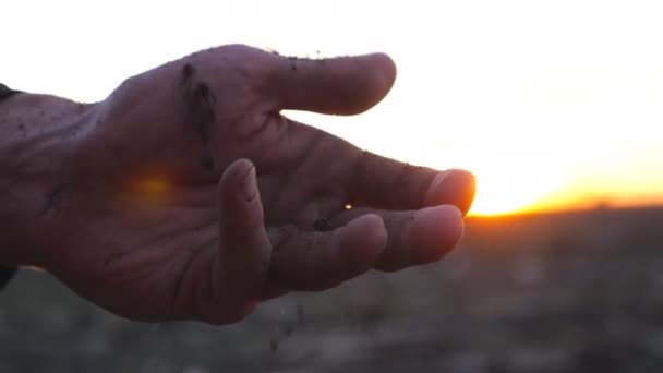 사람의 손 이 흙탕물을 쏟아 내어 석양의 배경에서 손가락으로 그것을 가려내고 있다. 남자 농부는 밭의 질좋은 토양을 검사한다. 일몰 과 함께 배경 이 흐릿하다. 슬로우 모션닫기 — 비디오