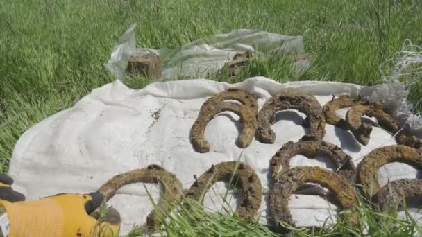 Manos masculinas de arqueólogo en guantes poniendo cuchillos cerca de herraduras en el suelo. El arqueólogo encontró artefactos y fósiles durante la excavación en el objeto. Concepto de arqueología. De cerca. — Vídeos de Stock