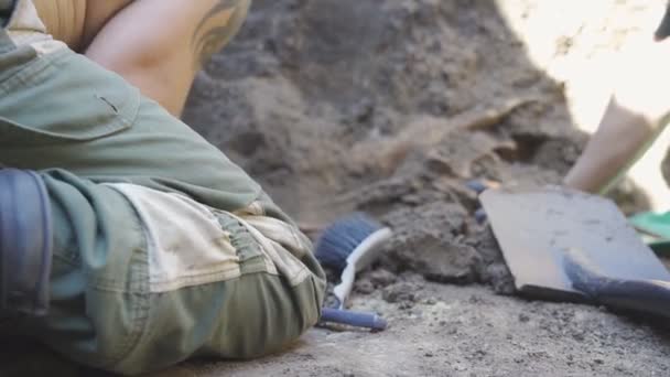 Археологи копают в руинах с ручным оборудованием. Мужские руки археологов в перчатках ищут окаменелости или артефакты на объекте. Концепция археологии. Закрыть — стоковое видео