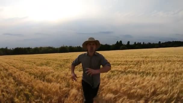 Wütender Bauer rennt vor laufender Kamera durch das Weizenfeld und versucht, jemanden zu fangen. Junge genervte Agronomen joggen zwischen Getreidewiesen und versuchen, jemanden von der Plantage zu werfen. Frontansicht — Stockvideo