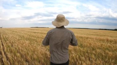 Genç tarım uzmanı olgun arpa tarlasında duruyor ve altın tarlasında ellerini kaldırıyor. Mısır gevreği tarlasını inceleyen erkek çiftçi mevsimlik buğday hasadından memnun. Tarım kavramı. Arka görünüm