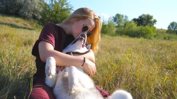 Gyönyörű nő szőke hajjal ül a füvön a mezőn és simogatja a husky kutyáját. Fiatal lány napszemüvegben ölelgeti és csókolgatja a háziállatát a réten. Szerelem és barátság háziállatokkal. Közelről. — Stock videók