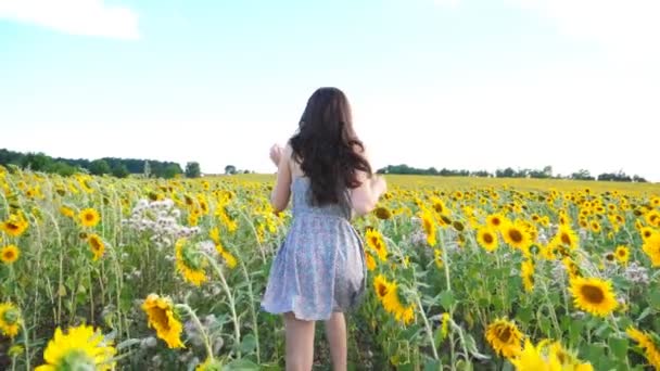 Close-up van mooi meisje rennend door zonnebloemveld. Jonge vrouw in jurk heeft plezier joggen door weide. Scenic zomer landschap op de achtergrond. Geluk en vrijheid concept. Achteraanzicht — Stockvideo