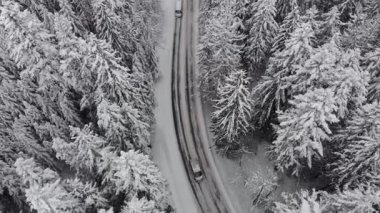 Aerial perspective of a winding snowy road as vehicles traverse through a forest of snow-covered evergreen trees, highlighting the tranquil winter atmosphere