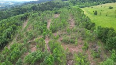 Ormanların yavaş yavaş yok oluşunu gösteren hava manzarası, verimsiz bölgeleri çevreleyen yemyeşil yemyeşil alanlar, geniş manzara değişikliklerini gösteren kamera tavaları.