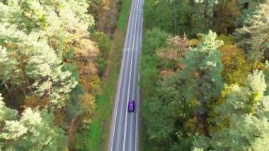 Mor renkli bir arabanın, renkli sonbahar yapraklarıyla çevrili dolambaçlı kırsal bir yolda uçuşu. Otomobil yolculuğu ve seyahat kavramı. Güzel bir sonbahar sezonunda kırsal yolda araba sürüyor.