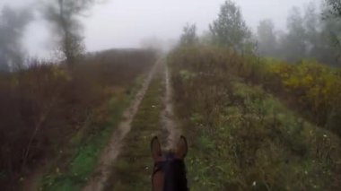 At binicisi, bereketli yeşillik ve sisle kaplı sisli bir yolda yürüyor. Huzurlu bir doğal ortamda huzurlu bir yolculuğun göstergesi olarak.