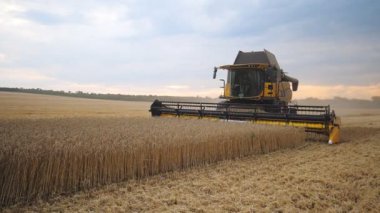 Tarlada çalışan tahıl hasatçısı olgun buğday hasadı topluyor. Kırsalda at sürmeyi ve arpa saplarını kesmeyi birleştirin. Arka planda manzara görüntüsü. Hasat ya da tarım kavramı. Yavaş çekim.