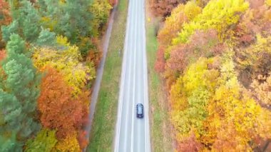 Kırsal yolda giden arabalar, doğanın güzelliğini gösteren canlı sonbahar ormanlarıyla çevrilidir. Otomobillerin ülke rotası boyunca uçtuğu hava görüntüsü. Güzel sonbahar sezonunda araba sürüyor