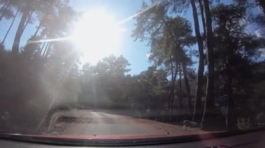 Parlak ağaçlar ve doğal çevrenin yer aldığı güneşli bir orman yolu boyunca manzaralı bir yolculuk, doğal güzellikler ve ilerideki dolambaçlı yollar arasındaki huzurlu yolculuğu gösteriyor.