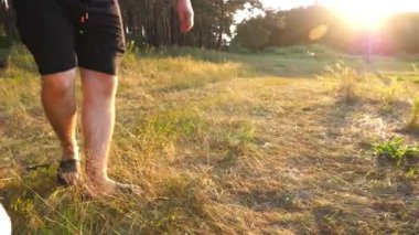 Mutlu köpek çifti labrador doğanın sahibinin erkek elinde tahta sopayla oynuyor. Neşeli Golden Retriever gün batımında çimlerde eğleniyor. İnsan ve hayvan arkadaşlığı kavramı. Yavaş çekim.