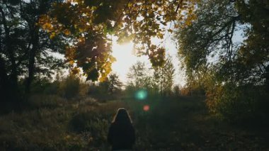 Sonbahar ormanlarında atlayan ve sarı akçaağaç yaprakları fırlatan tanınmamış genç bir kadın. Arkaplanda parlak güneş ışığıyla birlikte renk yaprakları dökülüyor. El kaldıran ve eğlenen bir kız. Yavaş çekim.