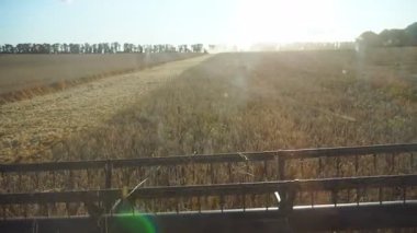 Dönen ve buğday kulakları kesen kombine bıçakları kapatın. Gün batımında tarlada çalışan tahıl hasatçısı. Manzaralı kırsal manzaraya ve kabinden arpa toplama sürecine bakın. Yavaş çekim.