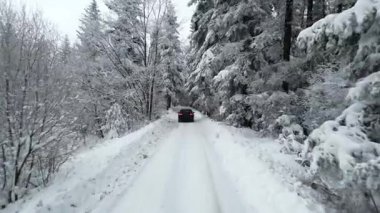 Karlı bir kış ormanında siyah bir araba sürüyordu. Karda gezinen otomobil büyüleyici manzarayla kaplanmış ahşap. Soğuk mevsimde kırsal yolda giden araçları takip edin. Doğanın dingin güzelliği kavramı