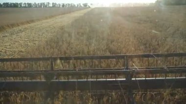 Dönen ve buğday kulakları kesen kombine bıçakları kapatın. Tarlada çalışan tahıl hasatçısı. Kırsal kesimin güzel manzarasını ve kabinden arpa toplama sürecini izleyin. Yavaş çekim.