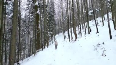 Genç kız, uzun ağaçlarla çevrili, sakin kış ormanlarında yürüyor. Huzurlu atmosferi yakalıyor. Kamera, dönüş yolu boyunca hareketini takip ediyor. Soğuk mevsimde boş vakit kavramı