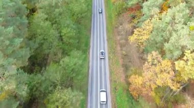 Kırsal yolda giden arabalar, doğanın güzelliğini gösteren canlı sonbahar ormanlarıyla çevrilidir. Otomobillerin ülke rotası boyunca uçtuğu hava görüntüsü. Güzel sonbahar sezonunda araba sürüyor
