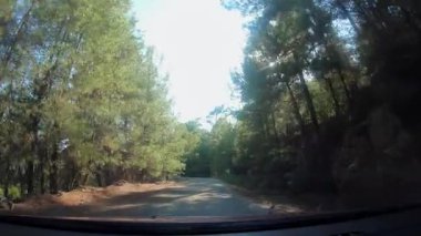 Ağaçların arasından süzülen bereketli yeşillik ve güneş ışığıyla çevrili, dolambaçlı bir orman yolunda yol alan araç, yolculuğun ve doğa yolunun manzaralı güzelliğini gözler önüne seriyor..